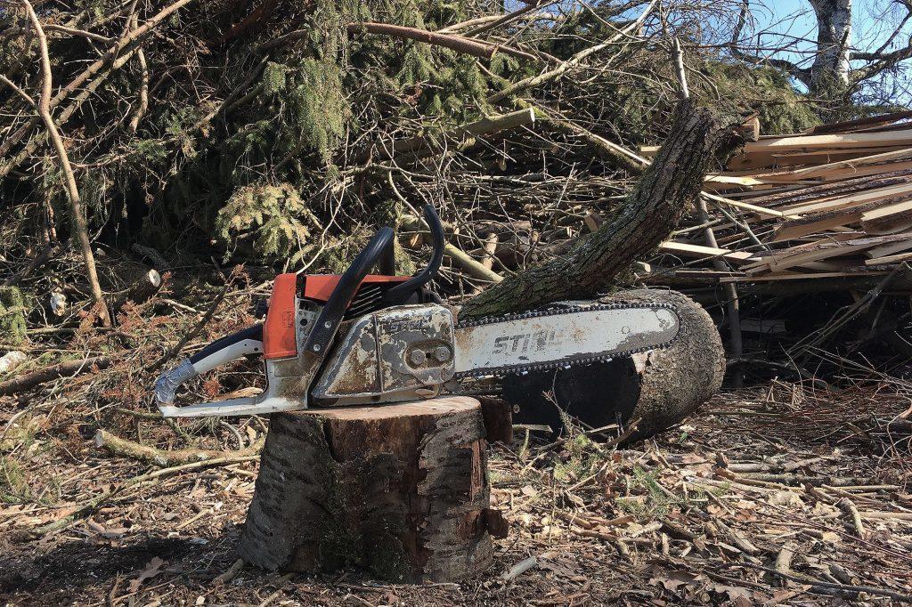 Chainsaw - a landmark of agricultural technology